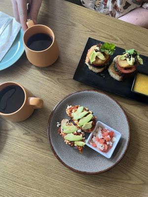   at Plantasia in Mexico City