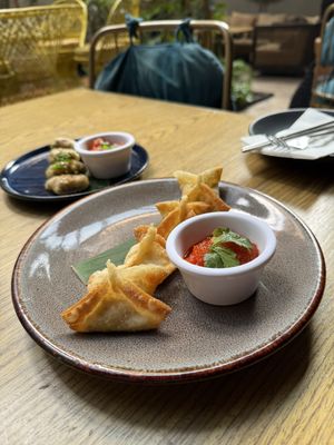 Fried wontons in front   at Plantasia in Mexico City