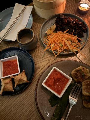   at Plantasia in Mexico City