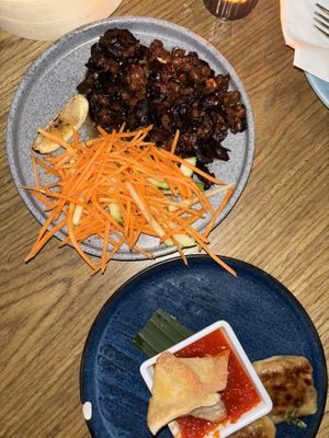   at Plantasia in Mexico City