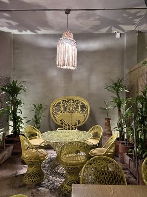   at Plantasia in Mexico City