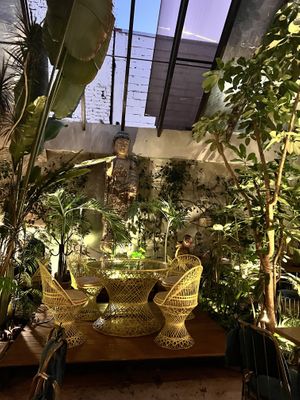   at Plantasia in Mexico City