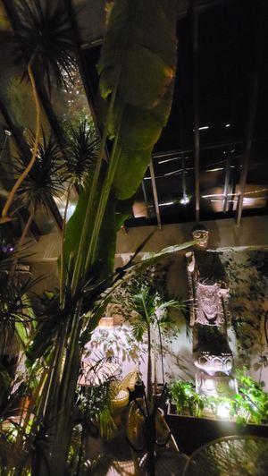  at Plantasia in Mexico City