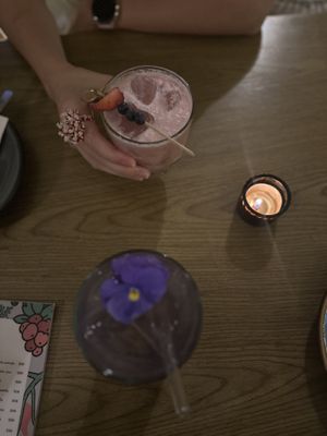   at Plantasia in Mexico City