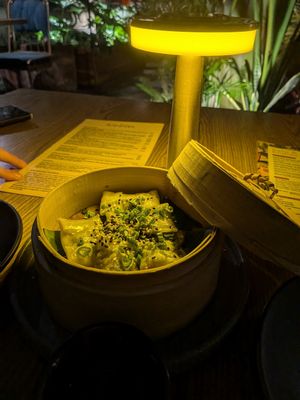  at Plantasia in Mexico City