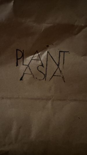 Food delivery 🚚 possible   at Plantasia in Mexico City