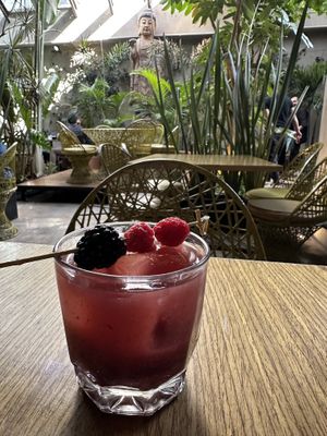   at Plantasia in Mexico City