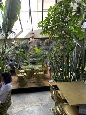   at Plantasia in Mexico City