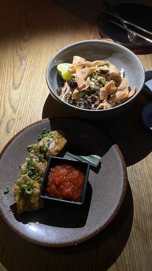   at Plantasia in Mexico City