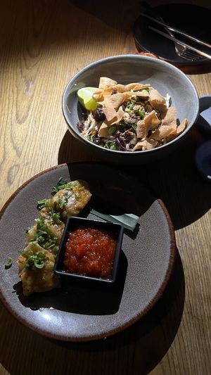   at Plantasia in Mexico City