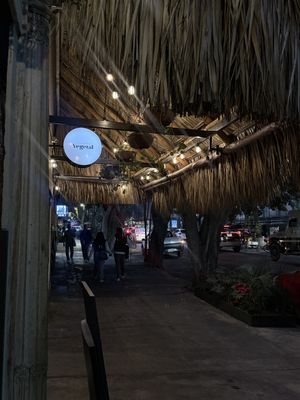   at Plantasia in Mexico City