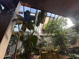   at Plantasia in Mexico City
