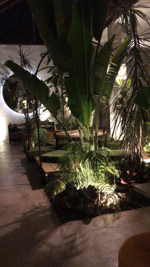 Plantasia interior restaurante  at Plantasia in Mexico City
