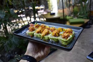 Incredible sushi  at Plantasia in Mexico City