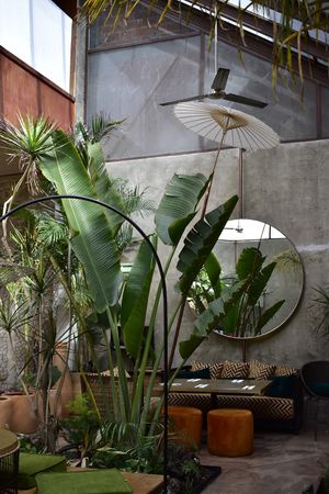 Interior  at Plantasia in Mexico City