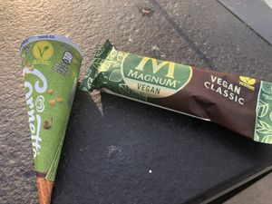 Vegan ijsjes!  at Paviljoen Stormvogel in Oostvoorne