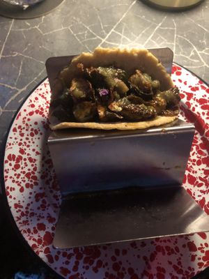 Brussel sprouts vegan taco - comes with teo but couldnt wait🤭  at Lola Taqueria in Palm Beach