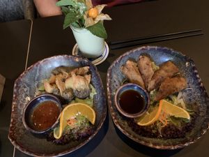 Fried dumplings and spring rolls  at Soy in Munich