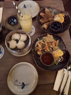 Vorspeise: Nr. 11 Frühlingsrollen, Nr.20 gedämpfte Teigtaschen, Nr. 21 gebratene  Teigtaschen at Soy in Munich