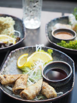 Spring rolls  at Soy in Munich