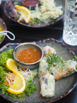 Summer Rolls with Peanut Dip at Soy in Munich