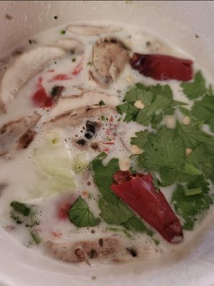 Tom Kha Gai- Vegan and Thai Spicy at Bencharong Thai House in Arcata