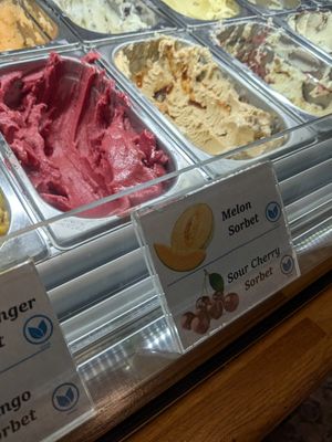  at Gianni in Dubrovnik