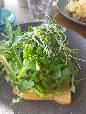  at Enzo's on the Beach in Scarness