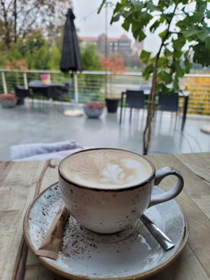 at Café Manggha in Krakow