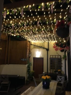 Lights in the courtyard  at The Courtyard in Sidmouth