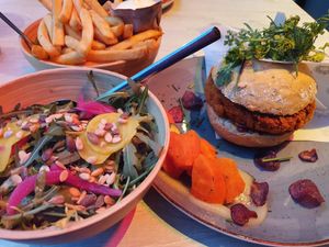 Quinoa burger with fries and salad at Eeterij-spelerij Vierlinden in Goes