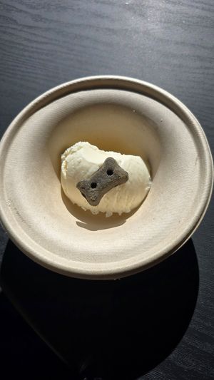 Pup cup at Idyllwild Ice Cream & Jerky in Idyllwild