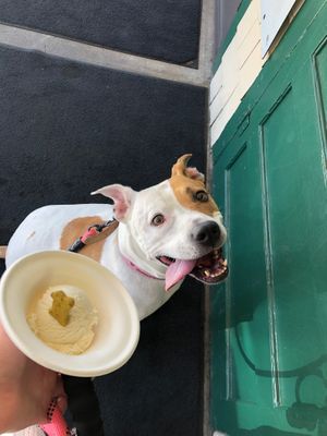 Loved Ice Cream and Jerky! Had the Strawberry Coconut dairy free and omg so good! Our pup loved their vanilla too! Love that pets are treated like one of the family!  at Idyllwild Ice Cream & Jerky in Idyllwild