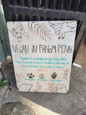  at Sacred Lotus Cafe in Phnom Penh