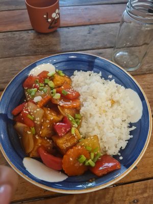  at Sacred Lotus Cafe in Phnom Penh