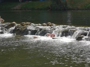  at Barabrith in Donji Budacki