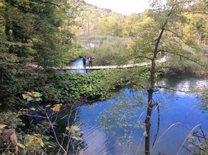 The National park in the region at Barabrith in Donji Budacki