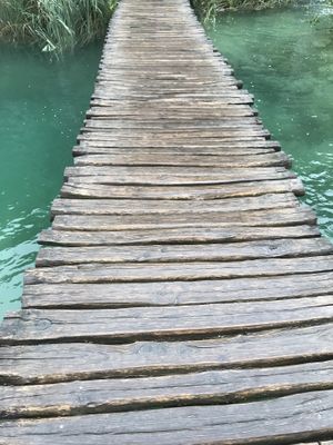 The National park in the region at Barabrith in Donji Budacki