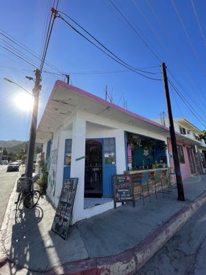 Super friendly and authentic owner. The food was really delicious and the atmosphere is very nice. The history of the café it’s also very interesting. We loved it!  at Tropical Kitchen Cabo in Cabo San Lucas