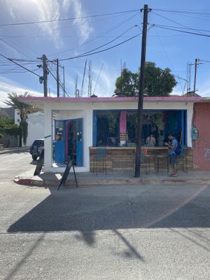 Corner spot at Tropical Kitchen Cabo in Cabo San Lucas