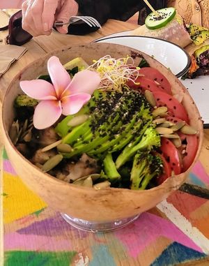 Halbos Bowl at Tropical Kitchen Cabo in Cabo San Lucas