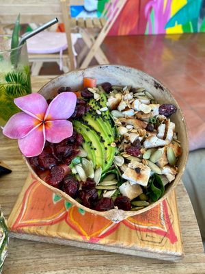  at Tropical Kitchen Cabo in Cabo San Lucas