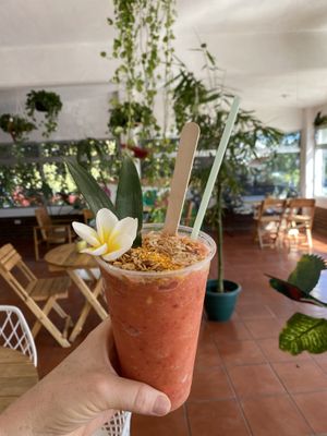 Oriol smoothie (all are named after birds)  at Tropical Kitchen Cabo in Cabo San Lucas