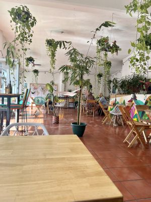   at Tropical Kitchen Cabo in Cabo San Lucas