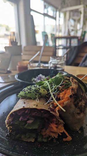  at Tropical Kitchen Cabo in Cabo San Lucas