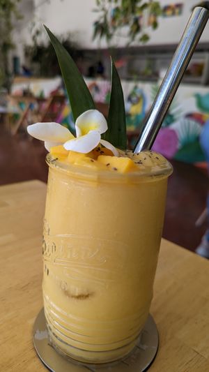  at Tropical Kitchen Cabo in Cabo San Lucas