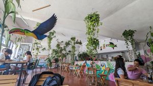  at Tropical Kitchen Cabo in Cabo San Lucas