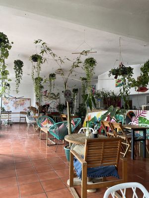   at Tropical Kitchen Cabo in Cabo San Lucas
