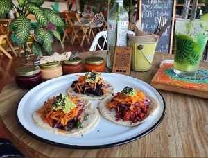 Dinner Menu - Vegan Taco Trio and Cucumber Aqua Fresca at Tropical Kitchen Cabo in Cabo San Lucas