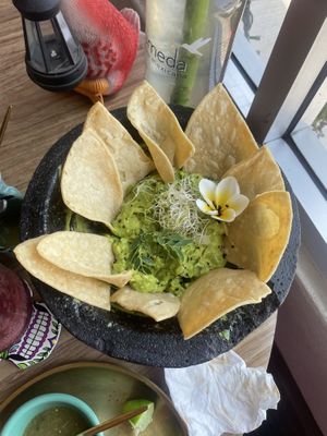   at Tropical Kitchen Cabo in Cabo San Lucas